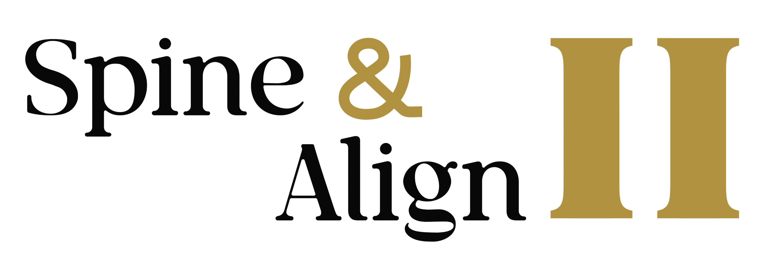 SPINE ALIGN-04 (2)